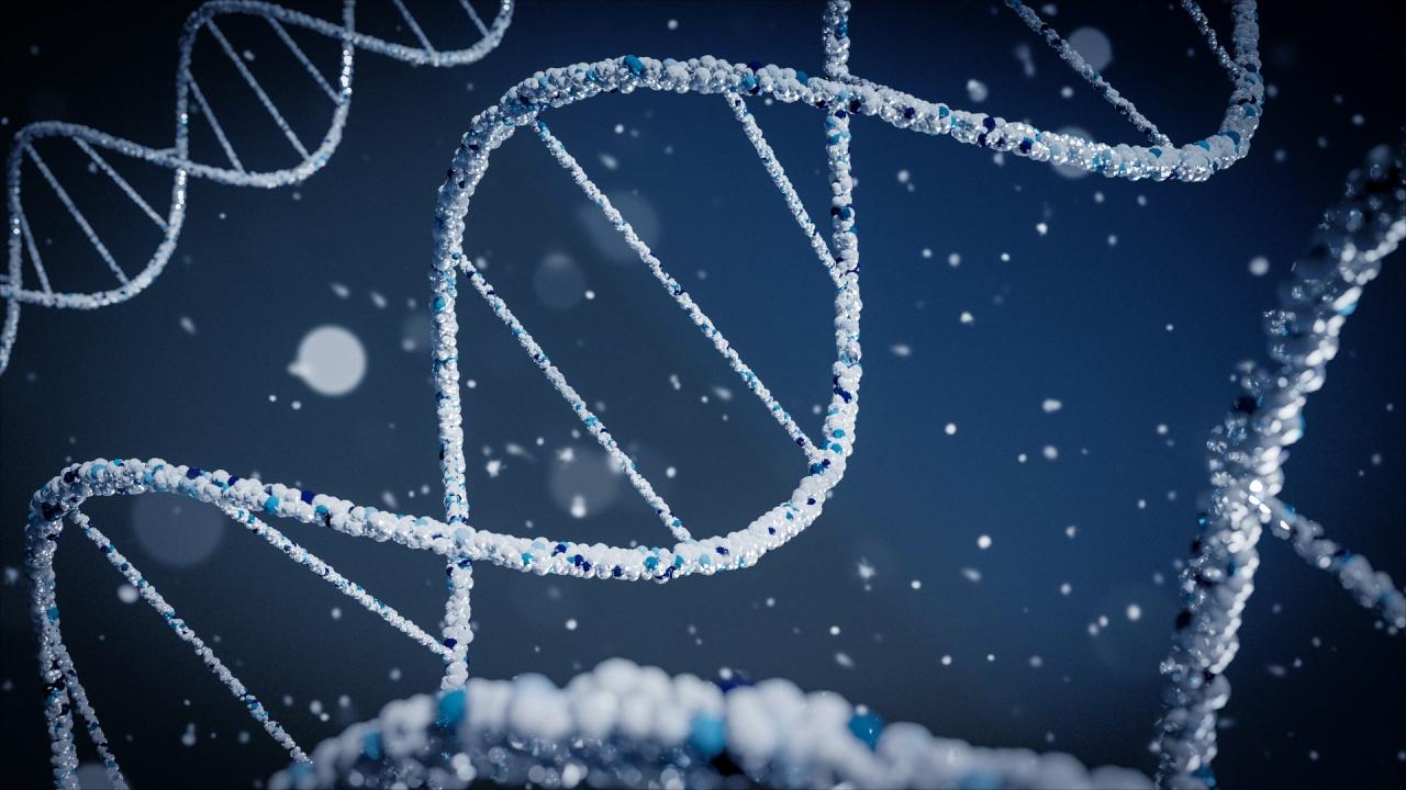 Imaging & Biomarkers in Oncology Imaging & Biomarkers in Oncology
